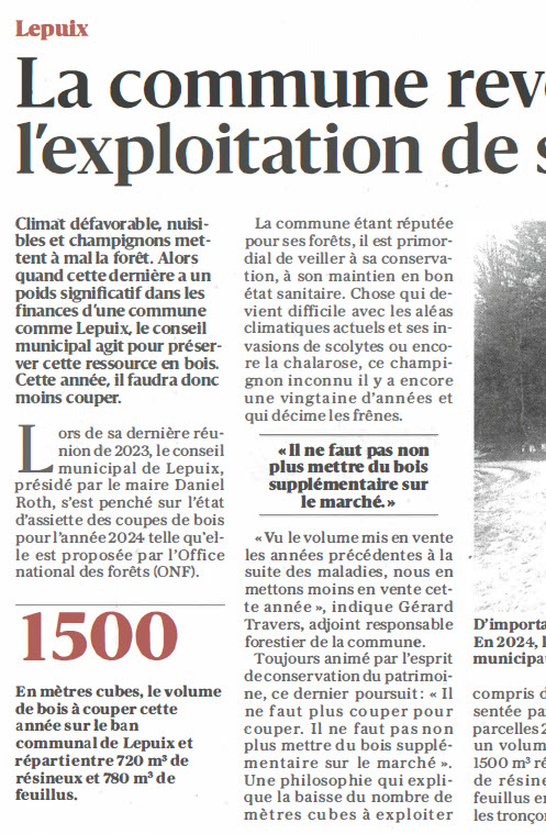 Exploitation forêt à la baisse